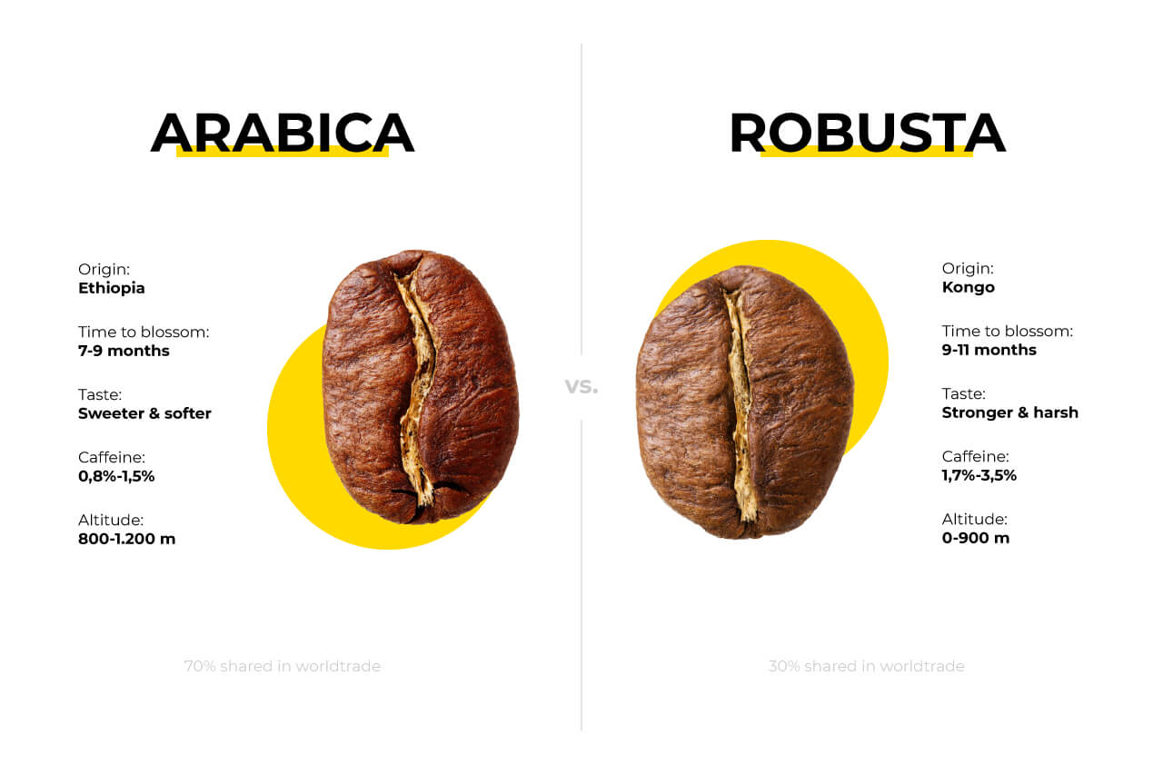 arabica coffee vs robusta coffee