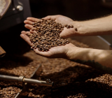 Freshly roasted coffee beans: process, flavors, result
