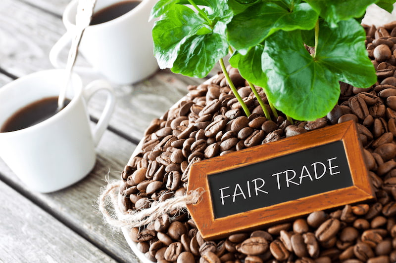 a plant grows in a bed of coffee beans with a small slate sign reading “fair trade.” two cups of coffee are placed on a wooden surface in the background.