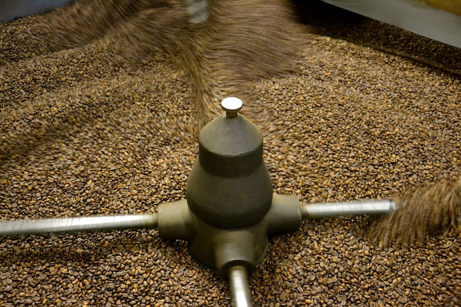 coffee beans roasted in a rotating drum with metal arms that evenly distribute the beans.