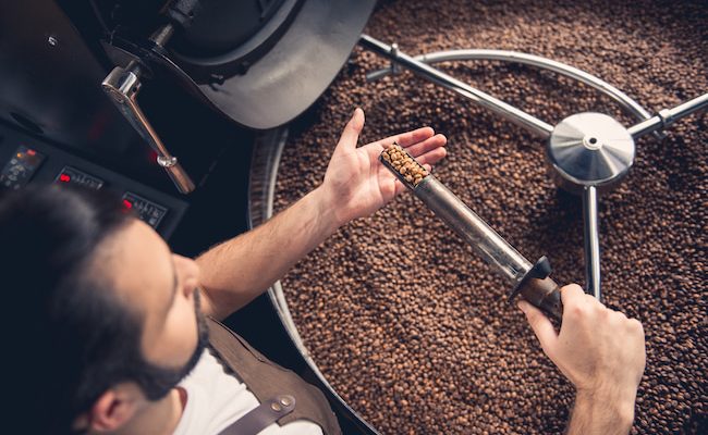a person examines coffee beans from a roasting machine, with a large quantity of beans visible in the background.