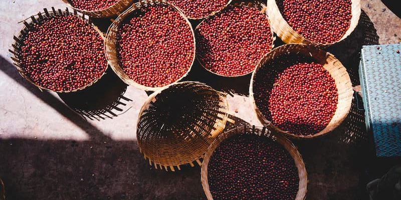 Woven baskets filled with red coffee cherries are displayed on a sunny surface, casting shadows.