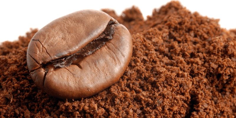 a single coffee bean rests on a mound of ground coffee.