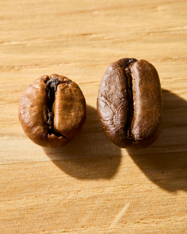 two roasted coffee beans on a wooden surface, one lighter and rounder on the left, the other darker and oval on the right, both casting shadows.