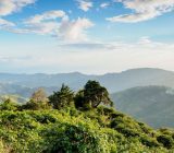 The 5 best coffees in the world