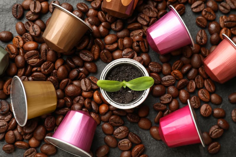 Coffee pods and beans surround a germinating seedling in a pod-shaped container on a dark surface.