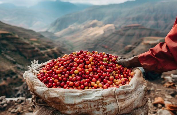 a person wearing orange clothes places his hand on a large bag full of red and yellow berries, against the backdrop of mountainous terrain.