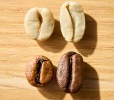 What are the different varieties of coffee?