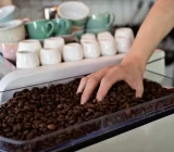 Why choose organic coffee? The benefits for you and the planet