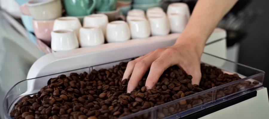 Barista filling an automatic coffee maker with beans