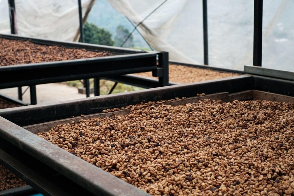 How is decaffeinated coffee prepared?