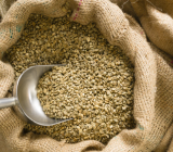 What is green coffee? The raw secret of the bean before roasting