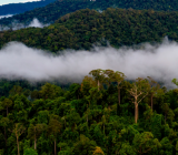 Flying rivers: rivers of the atmosphere